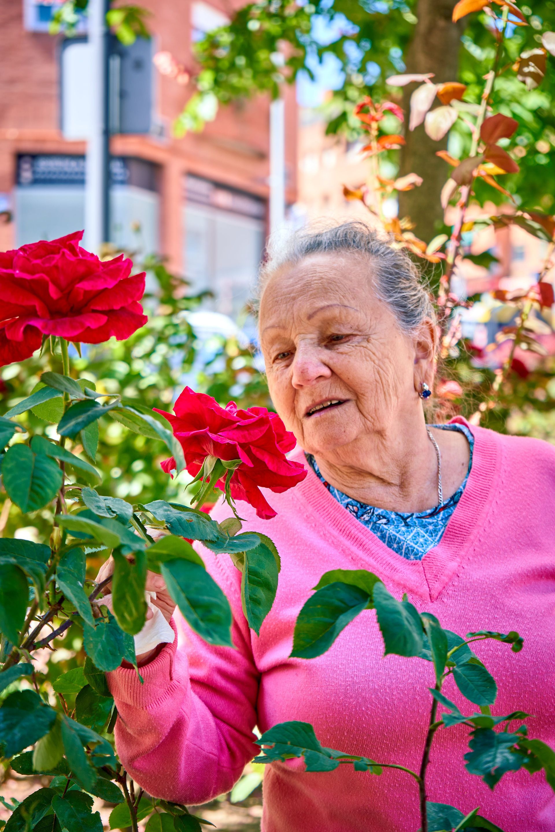 Senior woman smiles while smelling vibrant red roses in a Madrid park.